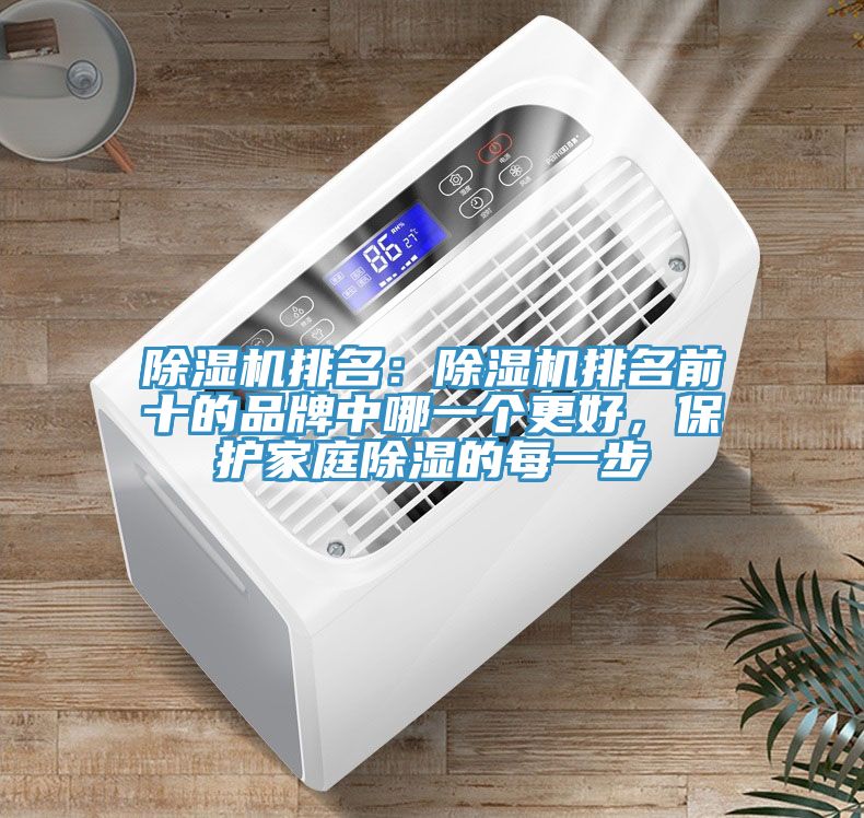 91免费网站在线观看排名：91免费网站在线观看排名前十的品牌中哪一个更好，保护家庭除湿的每一步