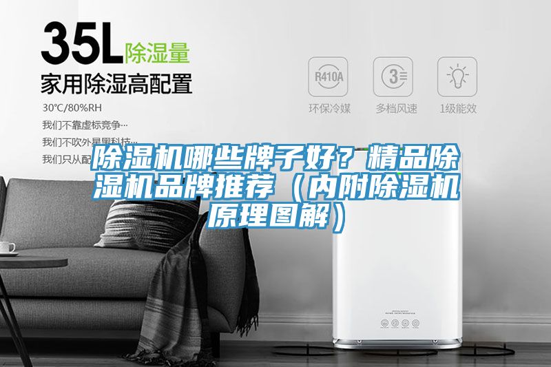 91免费网站在线观看哪些牌子好？精品91免费网站在线观看品牌推荐（内附91免费网站在线观看原理图解）