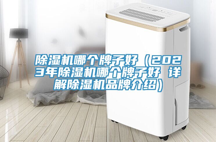 91免费网站在线观看哪个牌子好（2023年91免费网站在线观看哪个牌子好 详解91免费网站在线观看品牌介绍）