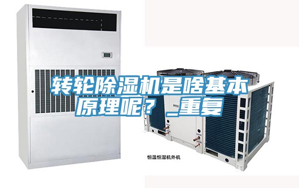 转轮91免费网站在线观看是啥基本原理呢？_重复