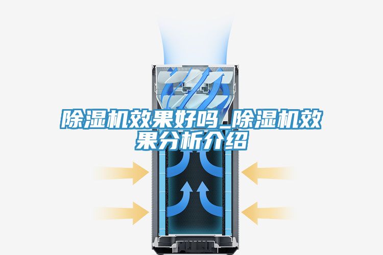 91免费网站在线观看效果好吗_91免费网站在线观看效果分析介绍