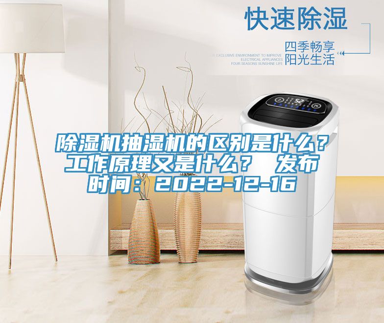 91免费网站在线观看抽湿机的区别是什么？工作原理又是什么？ 发布时间：2022-12-16