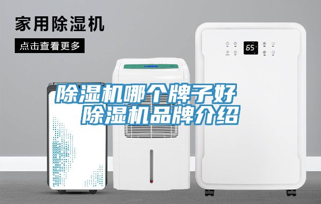 91免费网站在线观看哪个牌子好  91免费网站在线观看品牌介绍