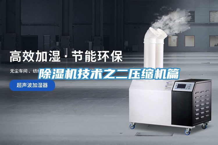 91免费网站在线观看技术之二压缩机篇