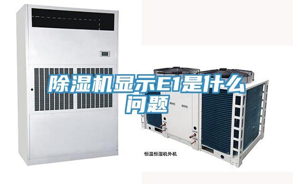 91免费网站在线观看显示E1是什么问题