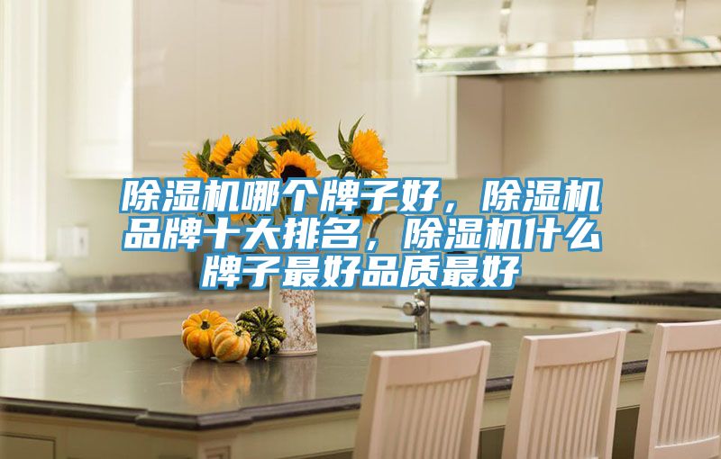 91免费网站在线观看哪个牌子好，91免费网站在线观看品牌十大排名，91免费网站在线观看什么牌子最好品质最好