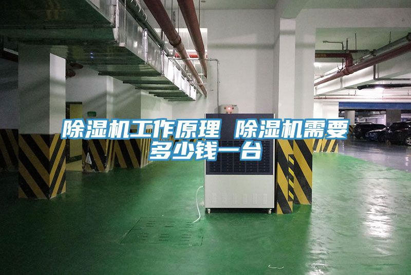 91免费网站在线观看工作原理 91免费网站在线观看需要多少钱一台