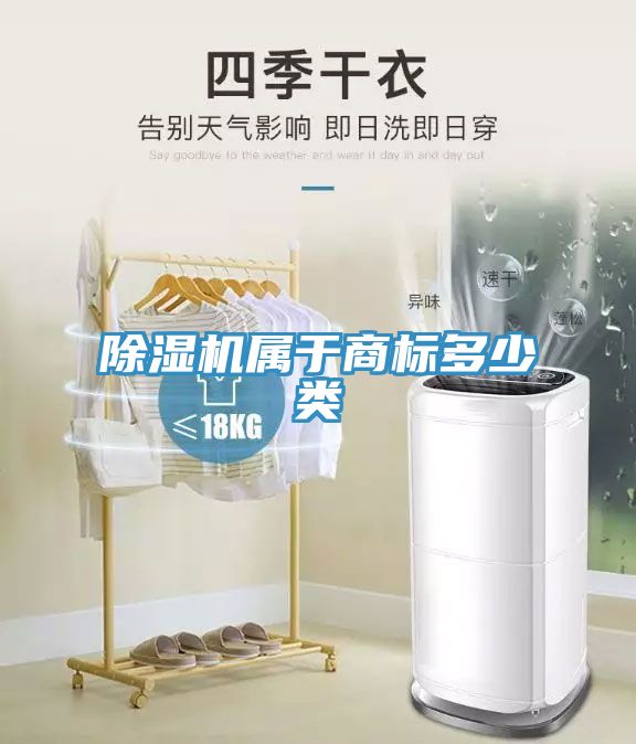 91免费网站在线观看属于商标多少类
