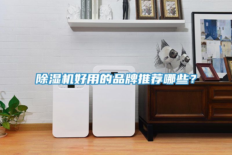 91免费网站在线观看好用的品牌推荐哪些？