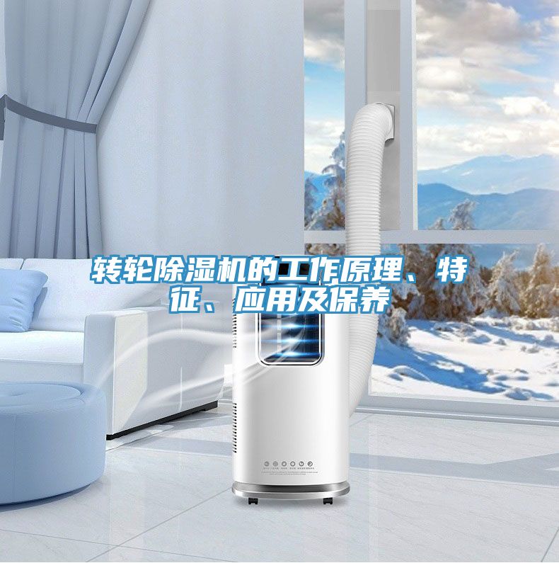 转轮91免费网站在线观看的工作原理、特征、应用及保养