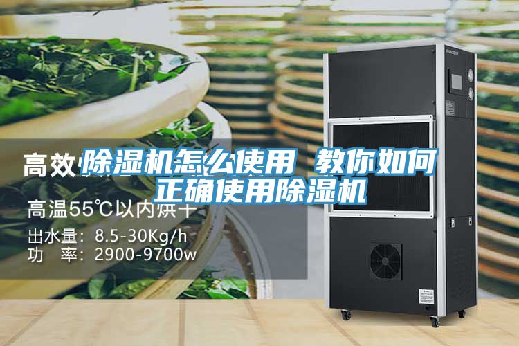 91免费网站在线观看怎么使用 教你如何正确使用91免费网站在线观看