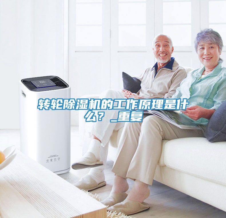 转轮91免费网站在线观看的工作原理是什么？_重复