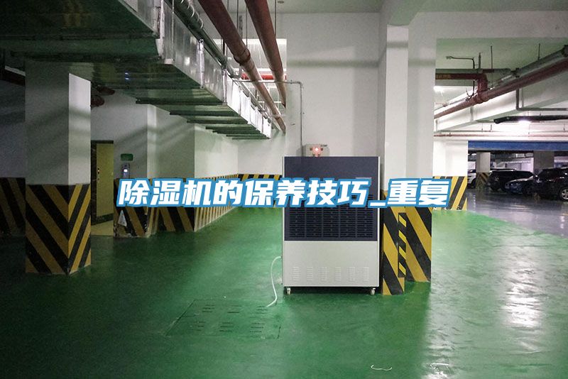 91免费网站在线观看的保养技巧_重复