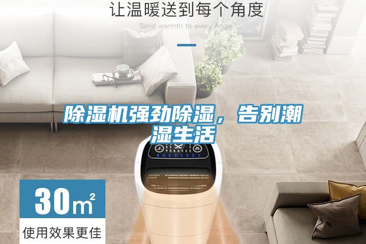 91免费网站在线观看强劲除湿，告别潮湿生活
