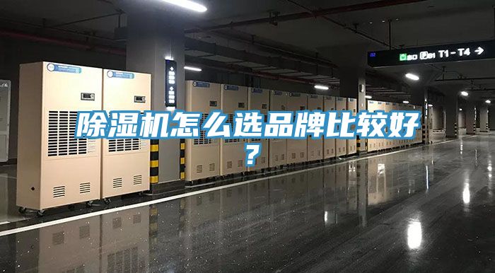 91免费网站在线观看怎么选品牌比较好？