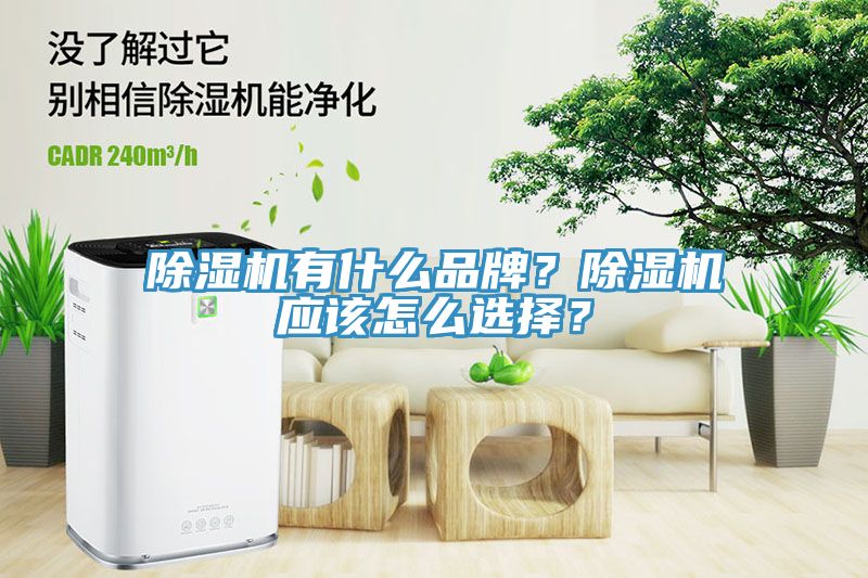 91免费网站在线观看有什么品牌？91免费网站在线观看应该怎么选择？