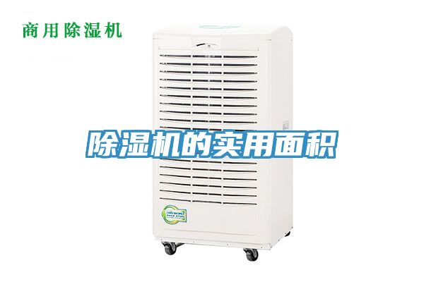 91免费网站在线观看的实用面积