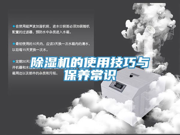 91免费网站在线观看的使用技巧与保养常识