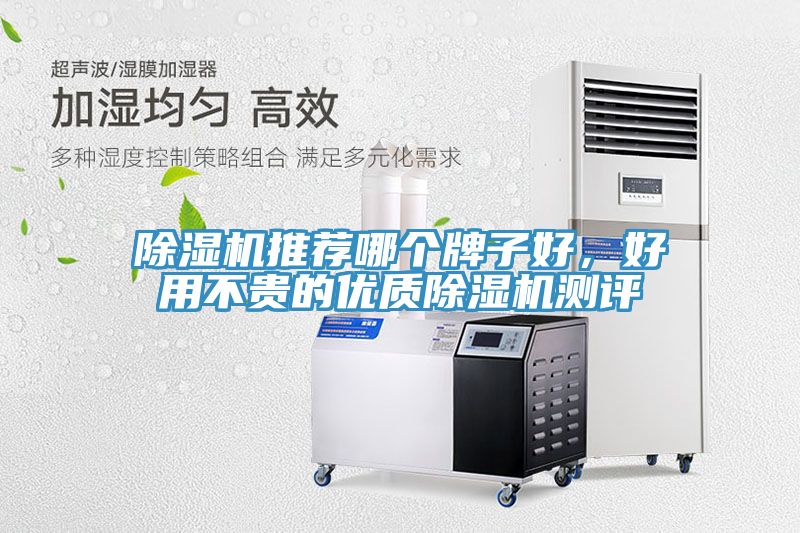 91免费网站在线观看推荐哪个牌子好，好用不贵的优质91免费网站在线观看测评