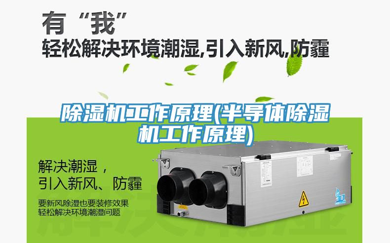 91免费网站在线观看工作原理(半导体91免费网站在线观看工作原理)