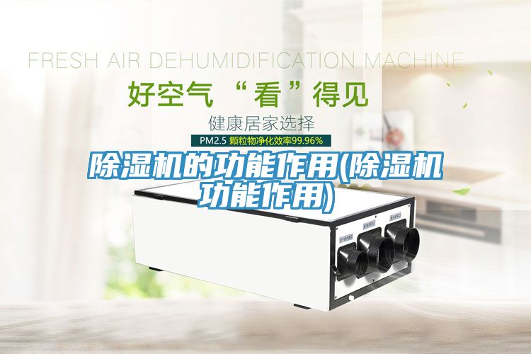 91免费网站在线观看的功能作用(91免费网站在线观看功能作用)