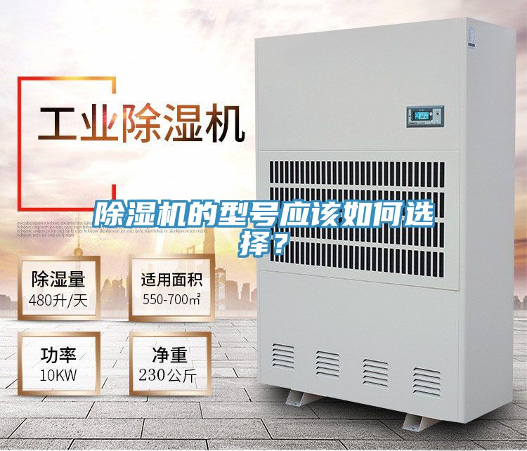 91免费网站在线观看的型号应该如何选择？