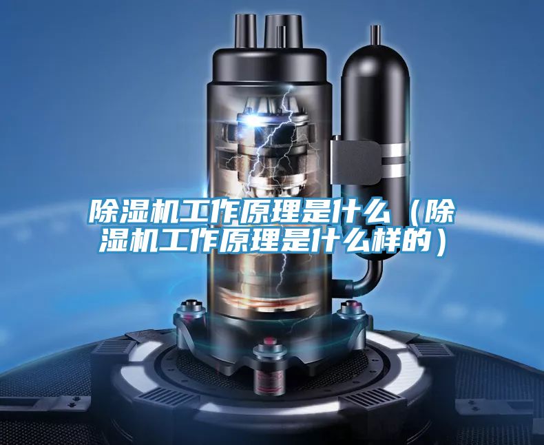 91免费网站在线观看工作原理是什么（91免费网站在线观看工作原理是什么样的）