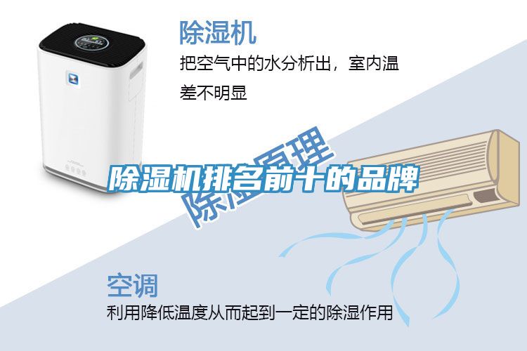91免费网站在线观看排名前十的品牌