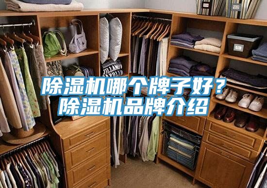 91免费网站在线观看哪个牌子好？91免费网站在线观看品牌介绍