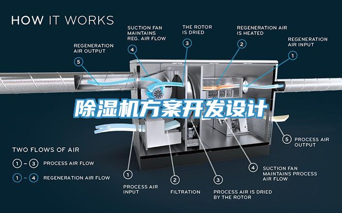 91免费网站在线观看方案开发设计