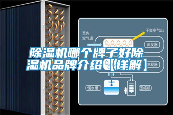91免费网站在线观看哪个牌子好91免费网站在线观看品牌介绍【详解】