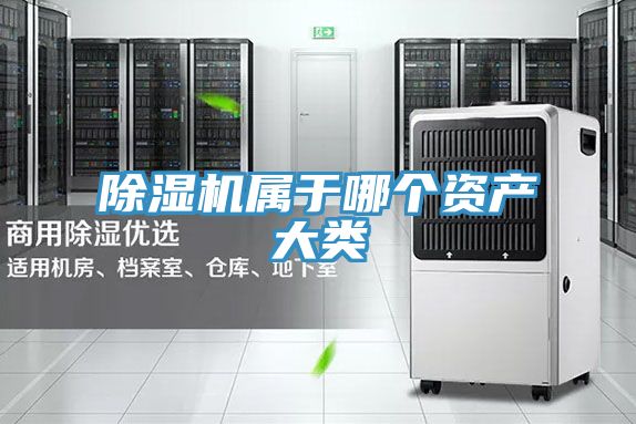 91免费网站在线观看属于哪个资产大类