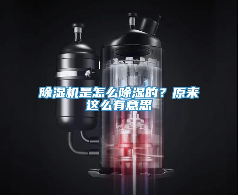 91免费网站在线观看是怎么除湿的？原来这么有意思