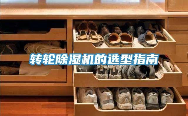 转轮91免费网站在线观看的选型指南