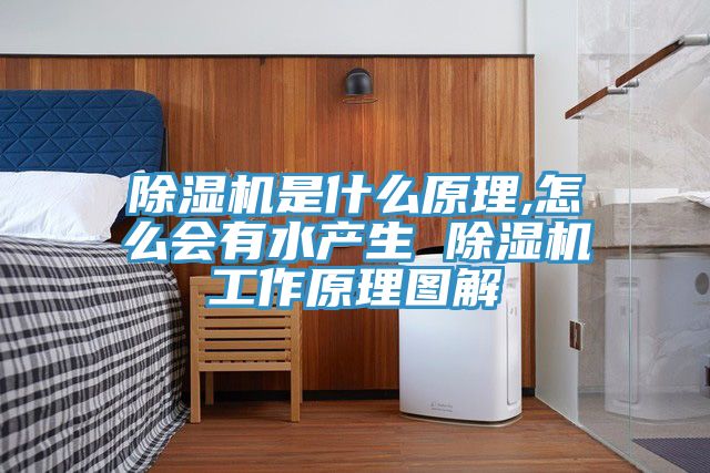 91免费网站在线观看是什么原理,怎么会有水产生 91免费网站在线观看工作原理图解