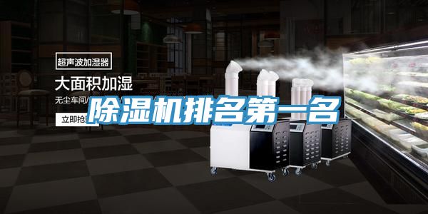 91免费网站在线观看排名第一名