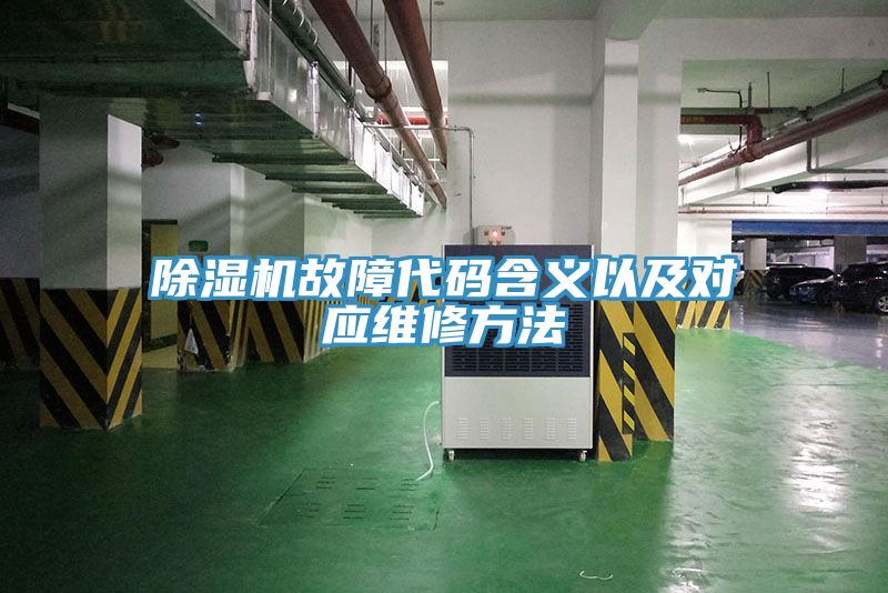 91免费网站在线观看故障代码含义以及对应维修方法
