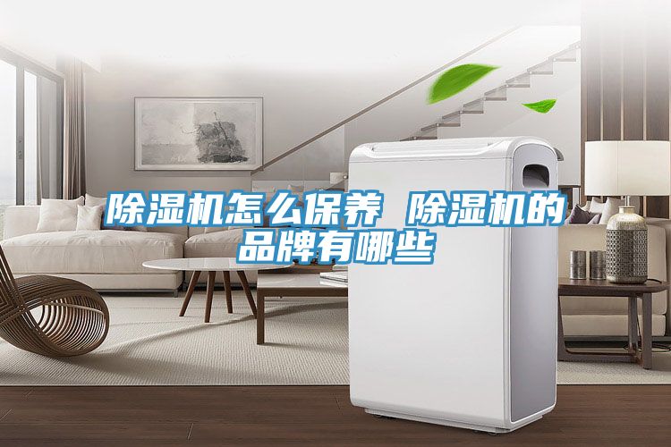 91免费网站在线观看怎么保养 91免费网站在线观看的品牌有哪些