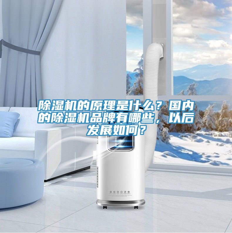 91免费网站在线观看的原理是什么？国内的91免费网站在线观看品牌有哪些，以后发展如何？