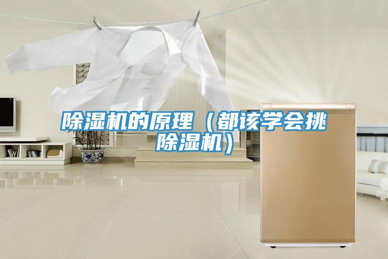 91免费网站在线观看的原理（都该学会挑91免费网站在线观看）