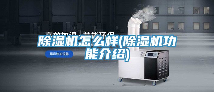 91免费网站在线观看怎么样(91免费网站在线观看功能介绍)