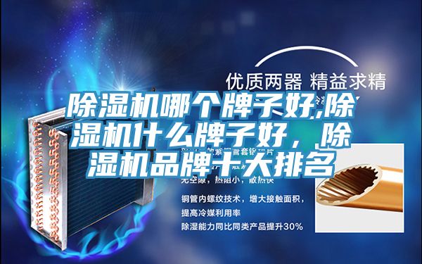 91免费网站在线观看哪个牌子好,91免费网站在线观看什么牌子好，91免费网站在线观看品牌十大排名