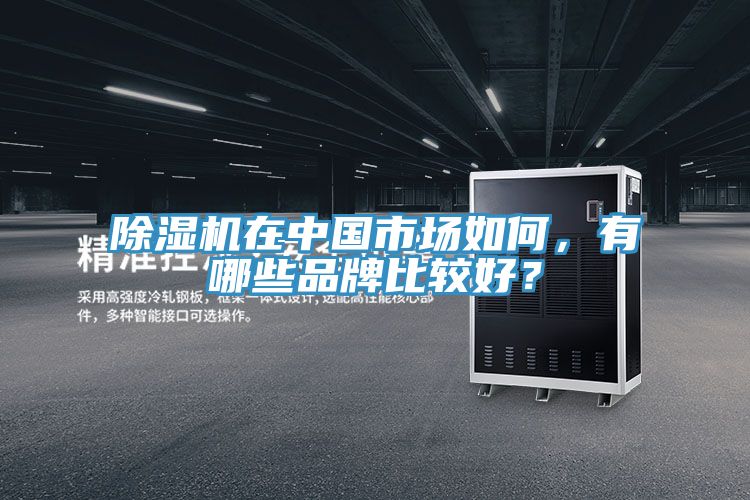 91免费网站在线观看在中国市场如何，有哪些品牌比较好？
