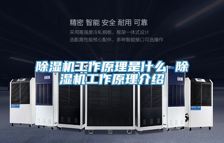 91免费网站在线观看工作原理是什么 91免费网站在线观看工作原理介绍