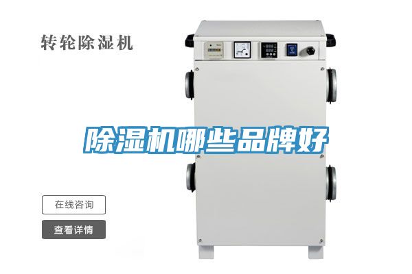 91免费网站在线观看哪些品牌好