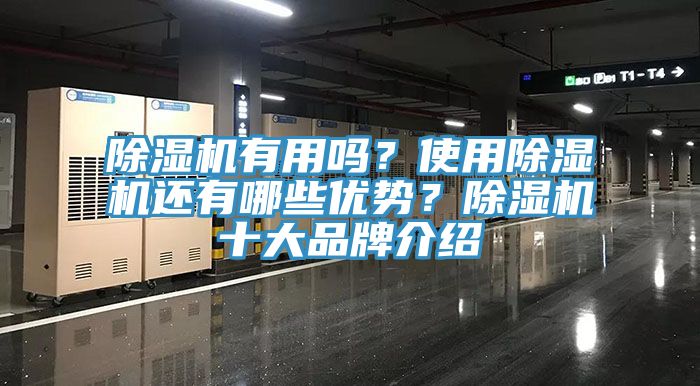 91免费网站在线观看有用吗？使用91免费网站在线观看还有哪些优势？91免费网站在线观看十大品牌介绍