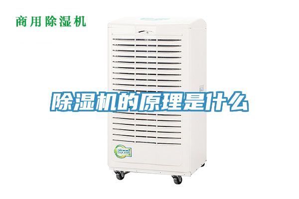 91免费网站在线观看的原理是什么