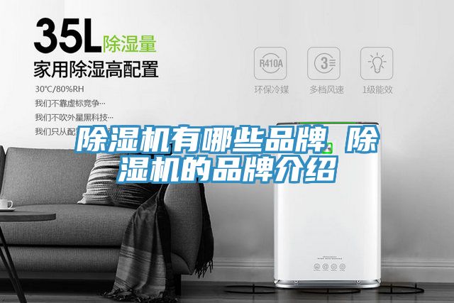 91免费网站在线观看有哪些品牌 91免费网站在线观看的品牌介绍