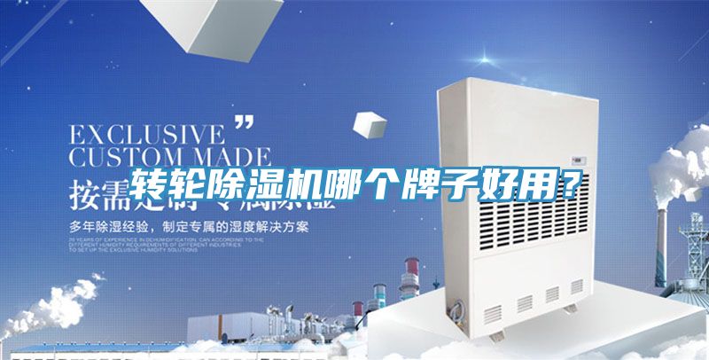 转轮91免费网站在线观看哪个牌子好用？