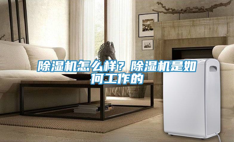 91免费网站在线观看怎么样？91免费网站在线观看是如何工作的